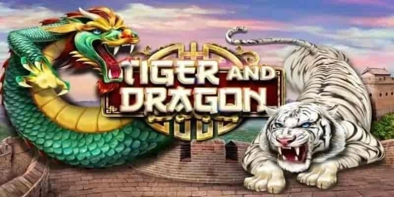 Cách soi cầu trò Rồng Hổ chuẩn nhất Cách soi cầu trò Rồng Hổ chuẩn nhất